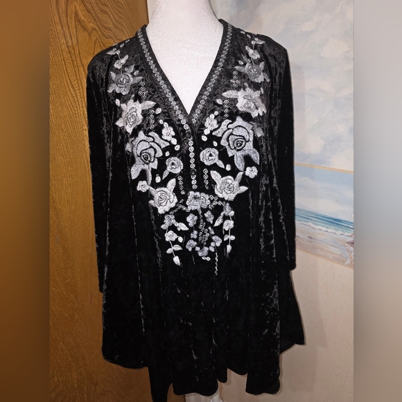 Black Velvet Top with Silver Floral Embroidery - Picture 1 of 5